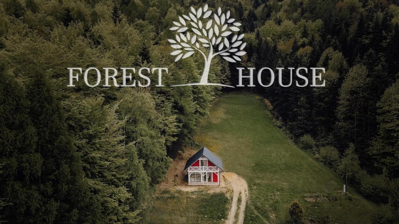 Forest House 塔干尼采 外观 照片