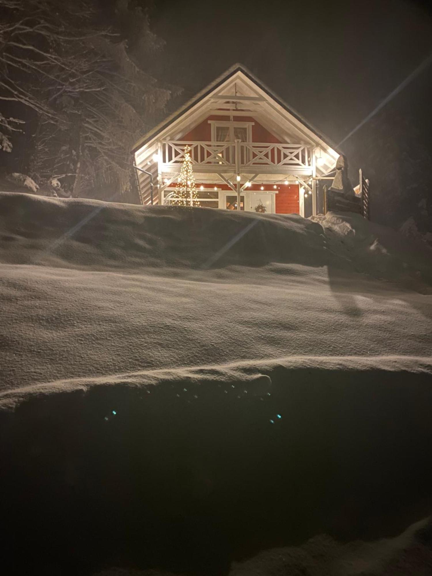 Forest House 塔干尼采 外观 照片