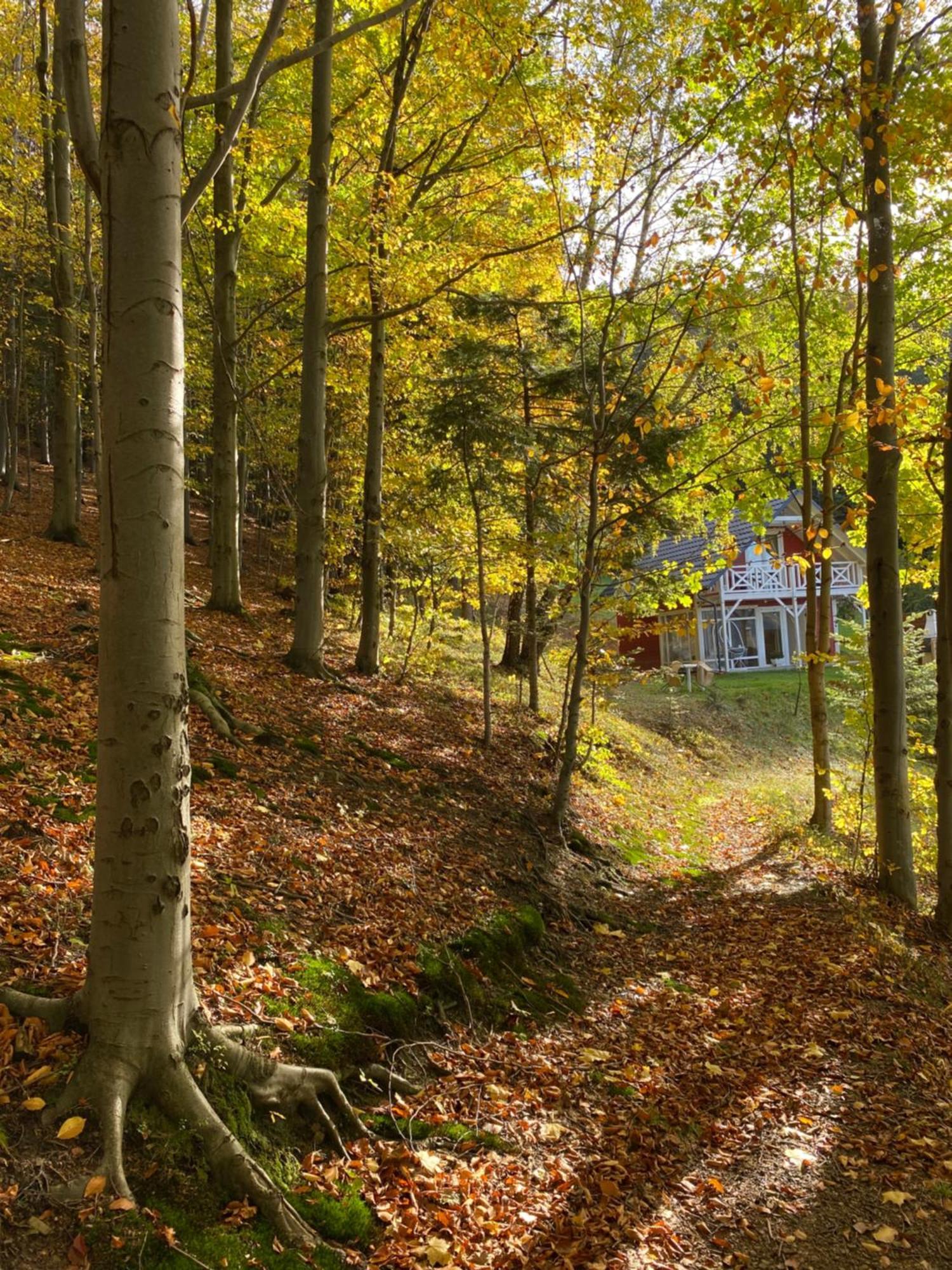 Forest House 塔干尼采 外观 照片