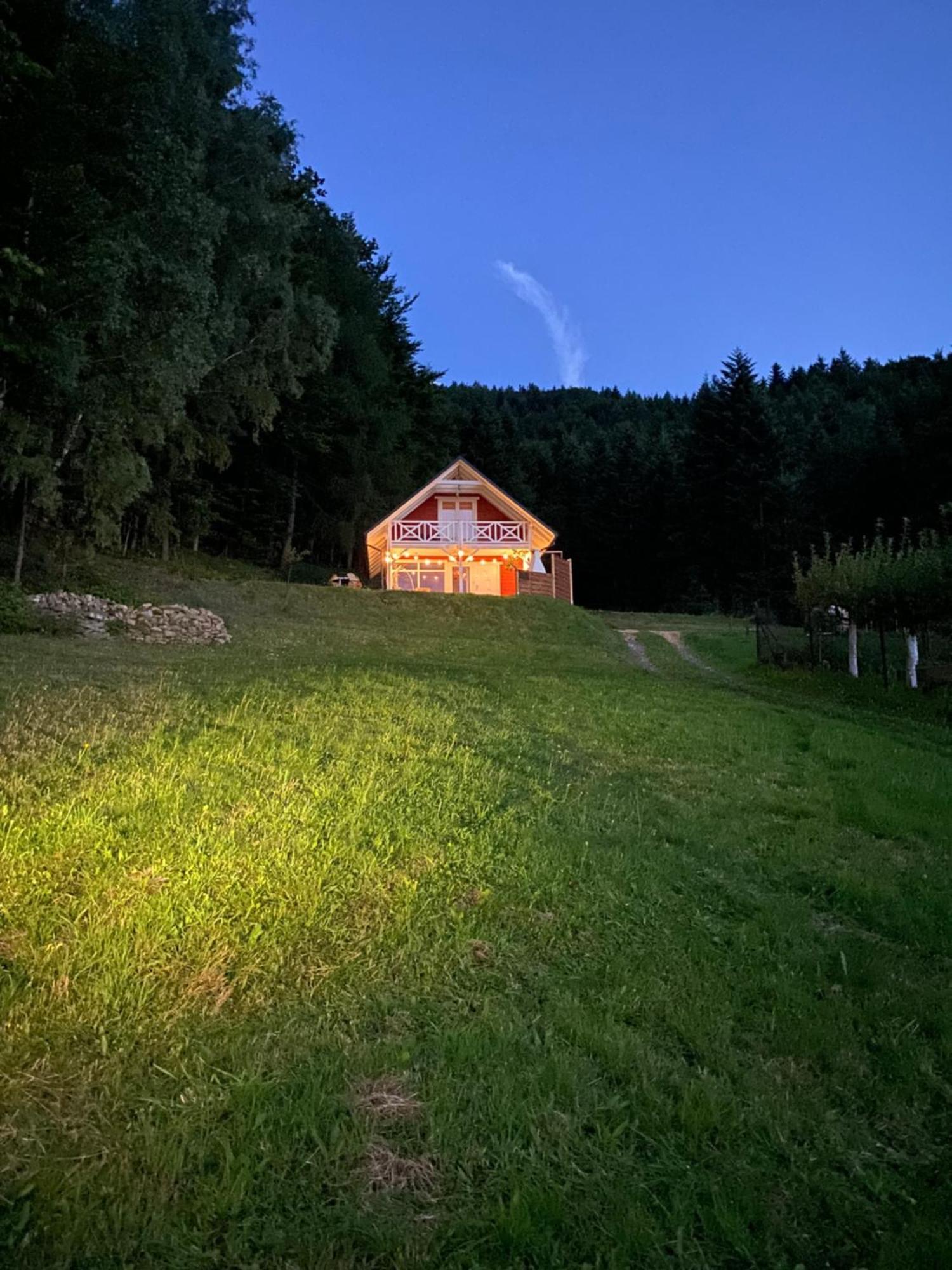 Forest House 塔干尼采 外观 照片